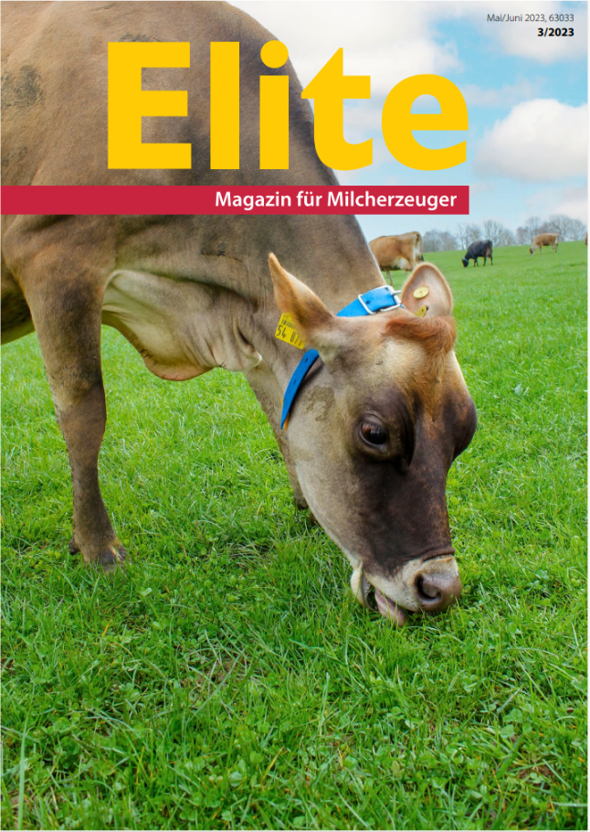 Elite