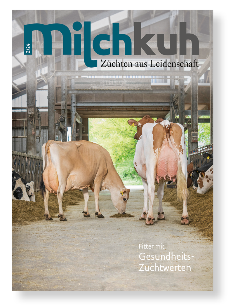 Milchkuh_Titel