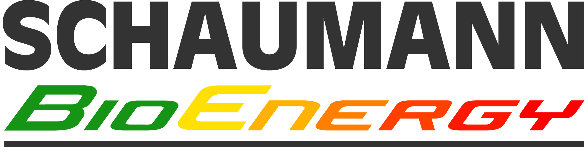 Schaumann_BioEnergy